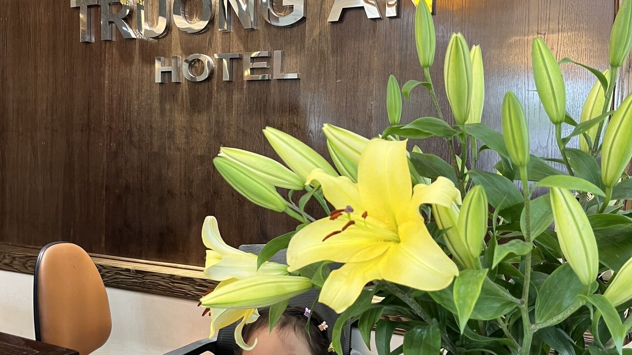 Photo of Others in Hai Duong