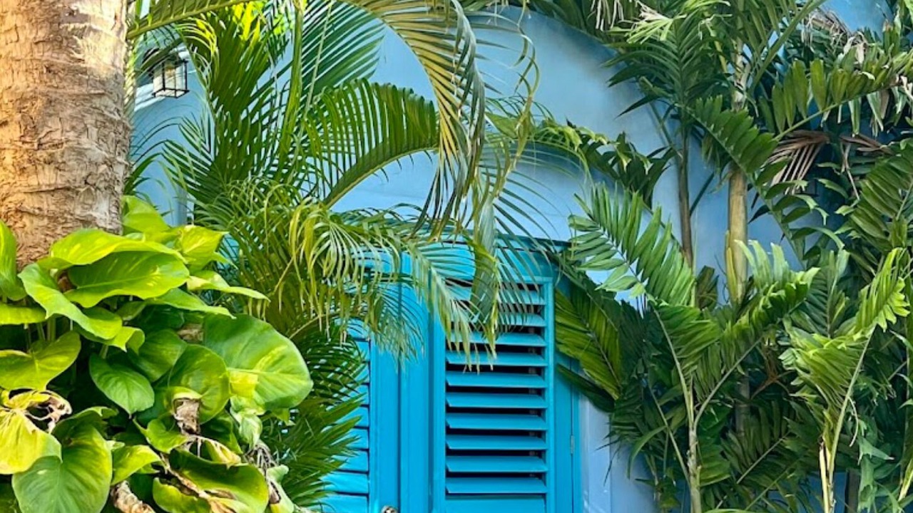 Photo of Outdoor in Barrio de Santiago