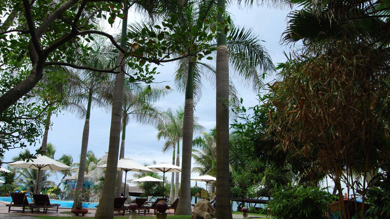 Photo of Outdoor in Central Mui Ne Beach