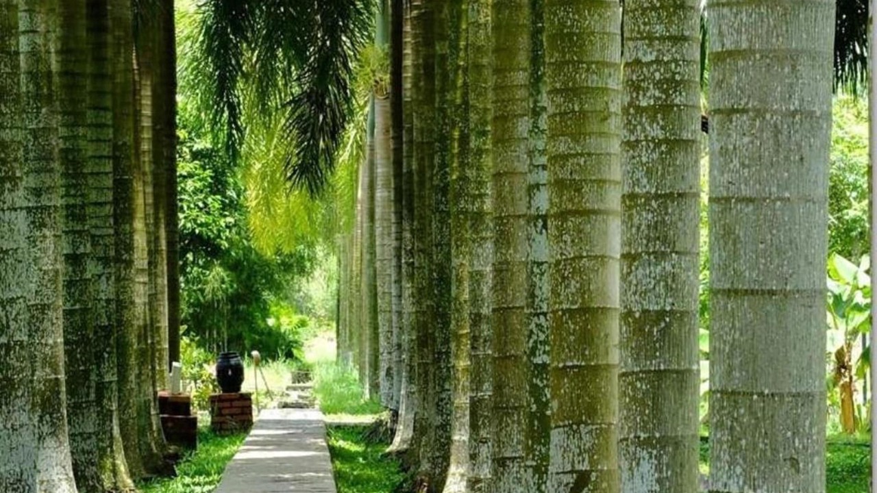 Photo of Outdoor in Cu Chi