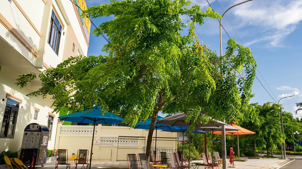 Photo of Outdoor in Ha Tien