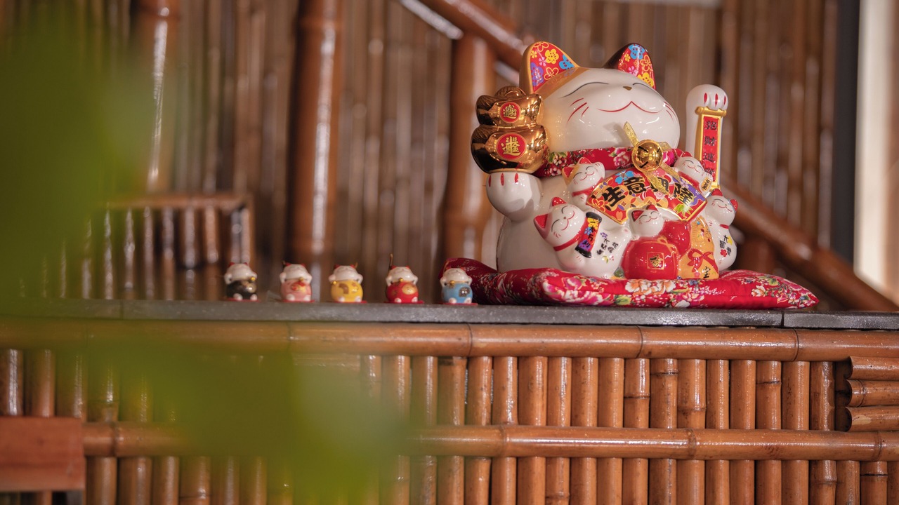 Photo of Others in Ninh Binh