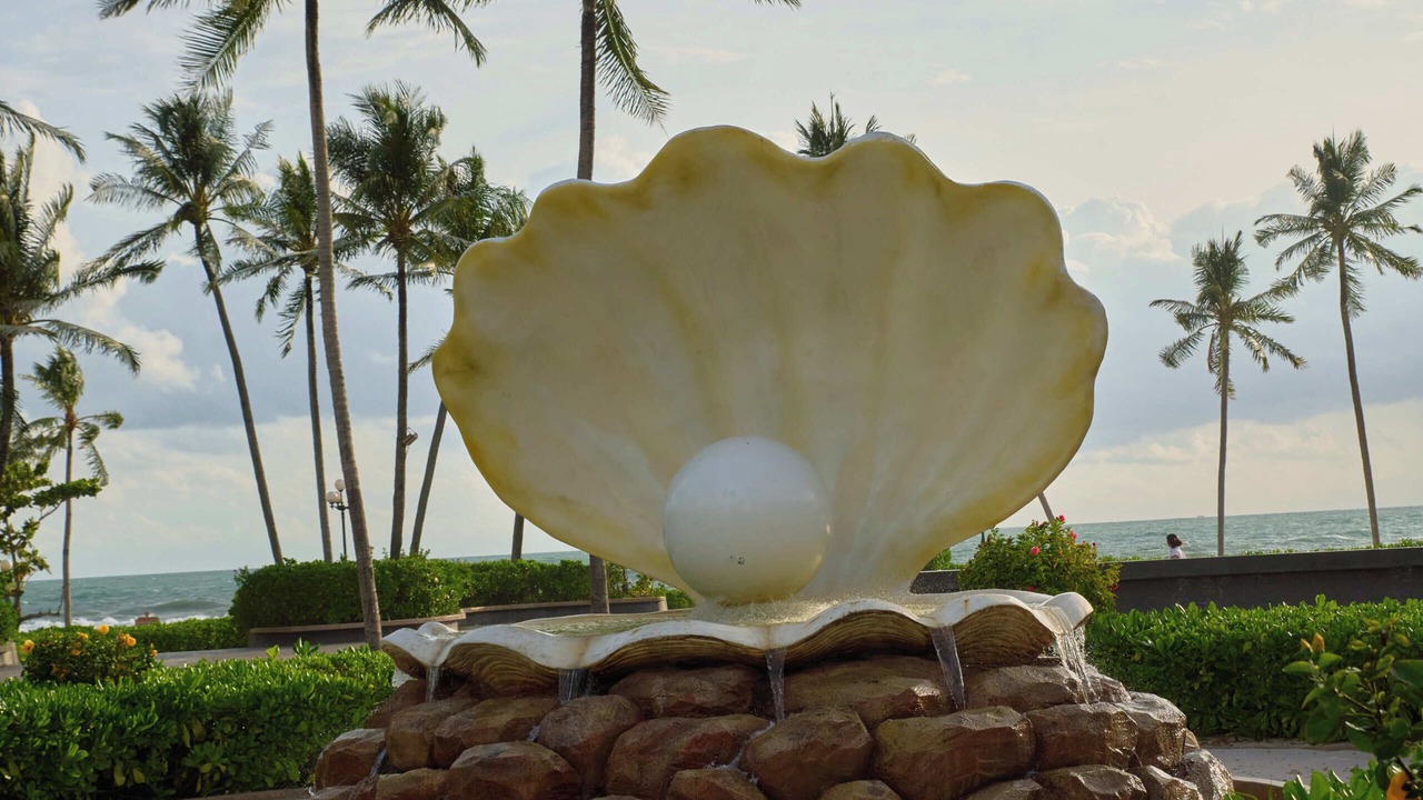 Photo of Outdoor in Duong To
