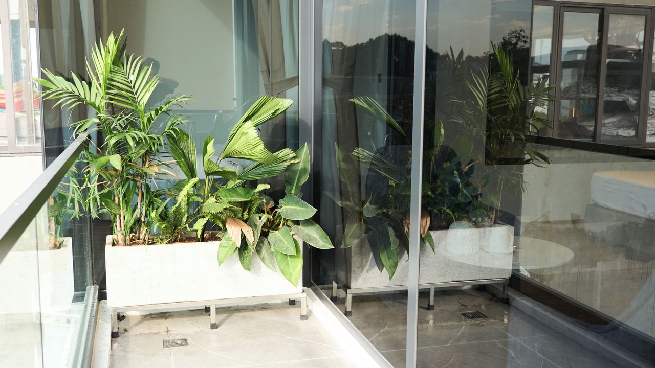 Photo of Patio Balcony in Đong Thanh