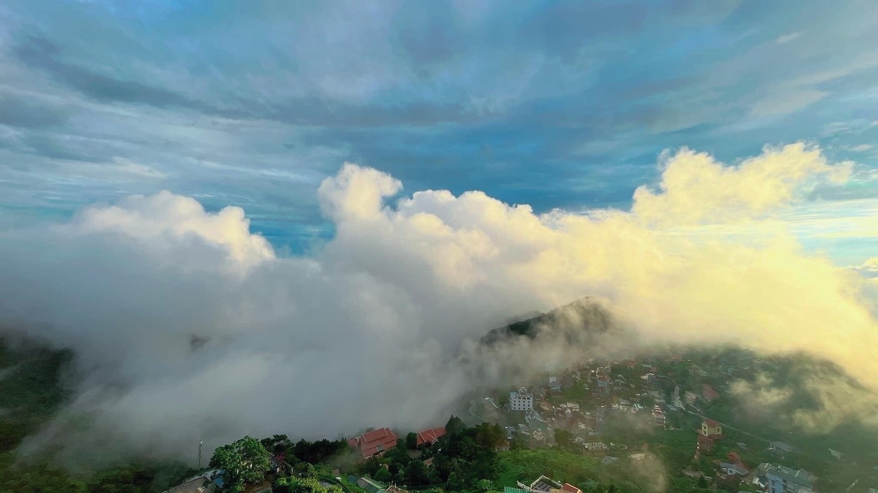 Photo of Others in Tam Dao