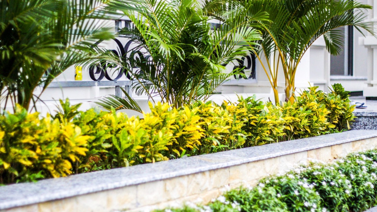 Photo of Patio Balcony in Cua Lap