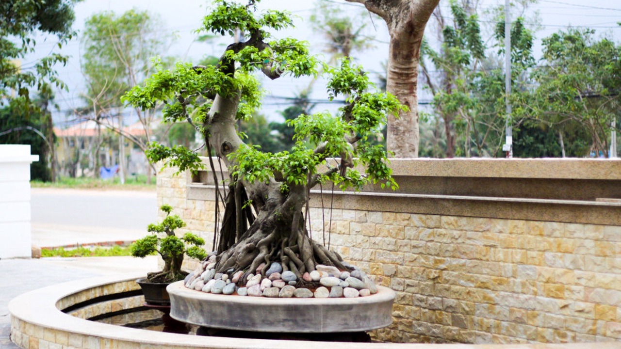 Photo of Outdoor in Cua Lap