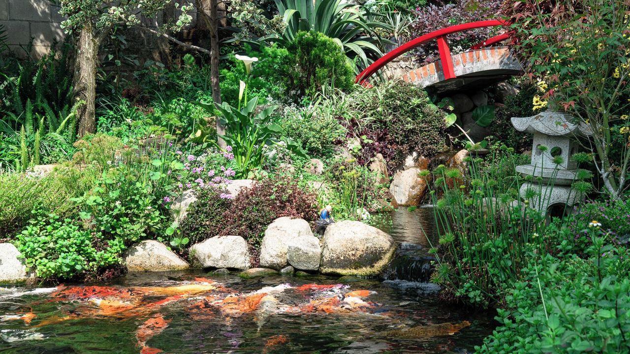Photo of Outdoor in Phuong 10