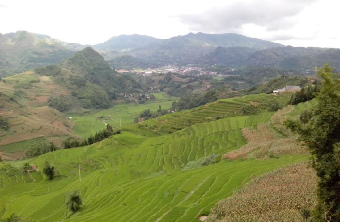 Photo of Others in Bac Ha