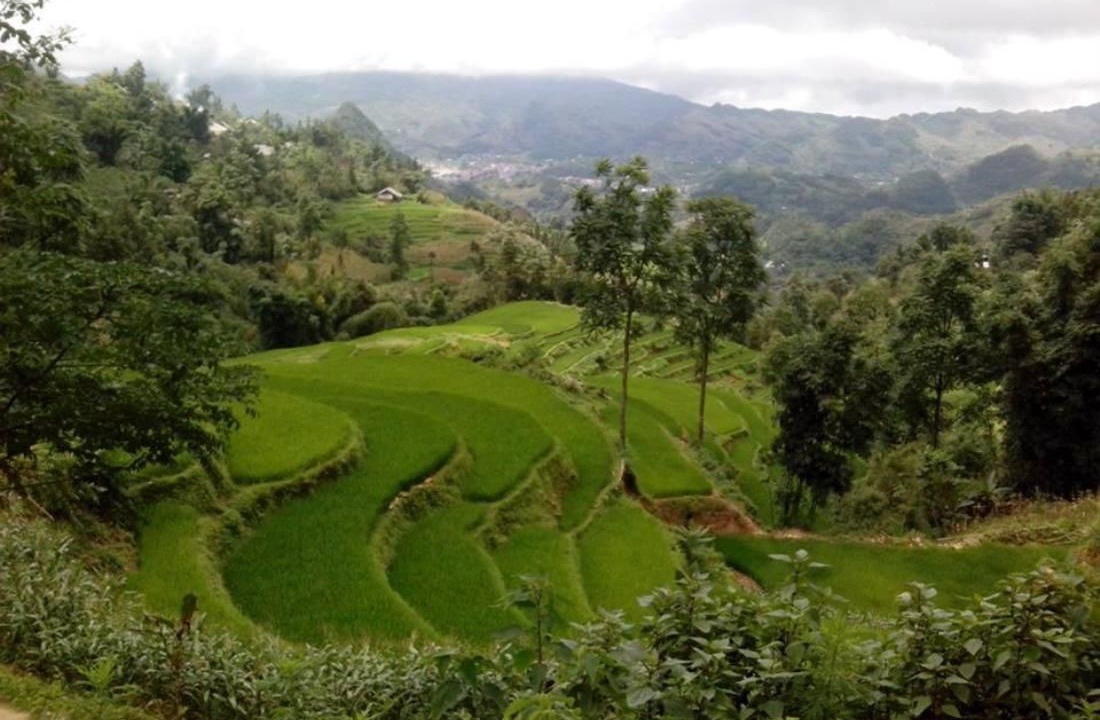 Photo of Others in Bac Ha