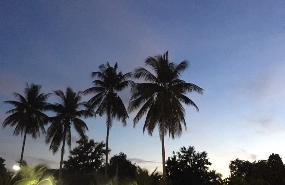 Photo of Others in Lampang