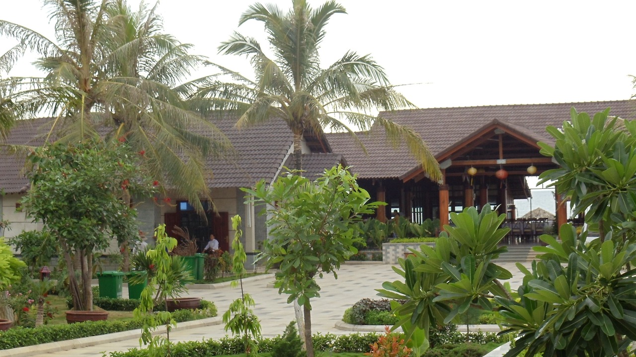 Photo of Outdoor in Tan Loc