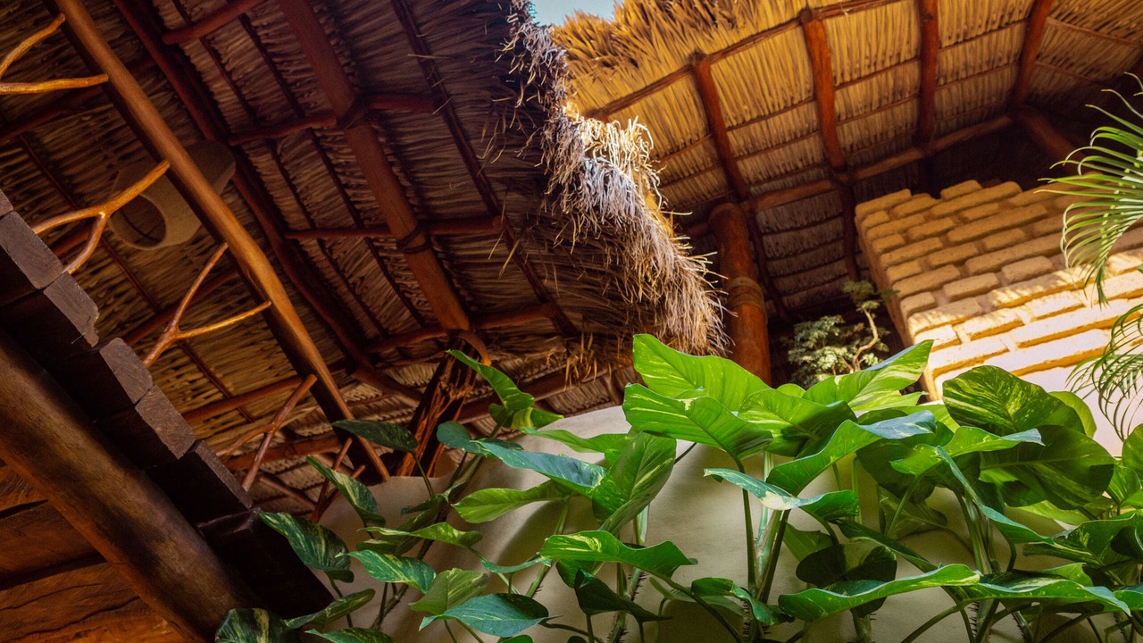 Photo of Outdoor in Zihuatanejo