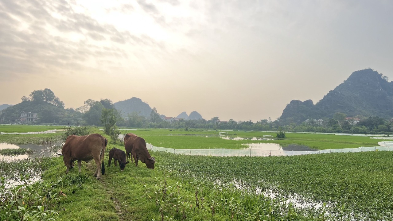 Photo of Outdoor in Gia Vien
