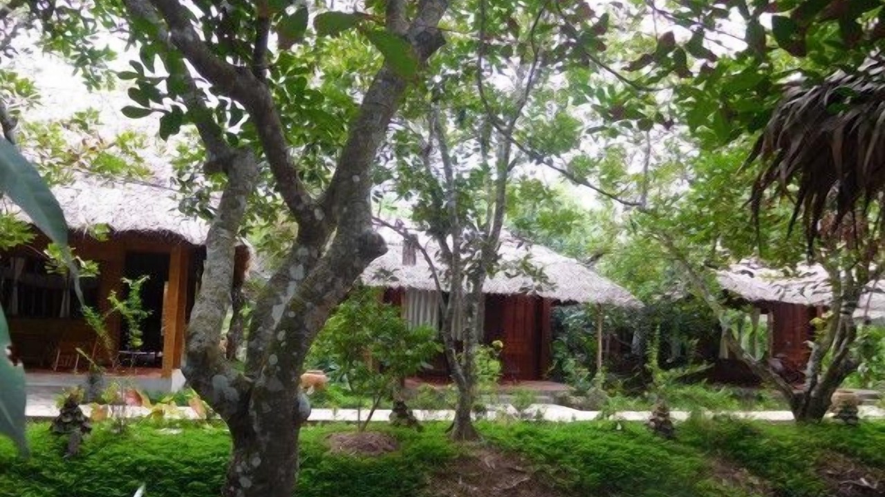 Photo of Others in Cai Lay