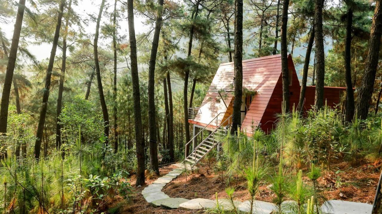 Photo of Outdoor in Cat Hai