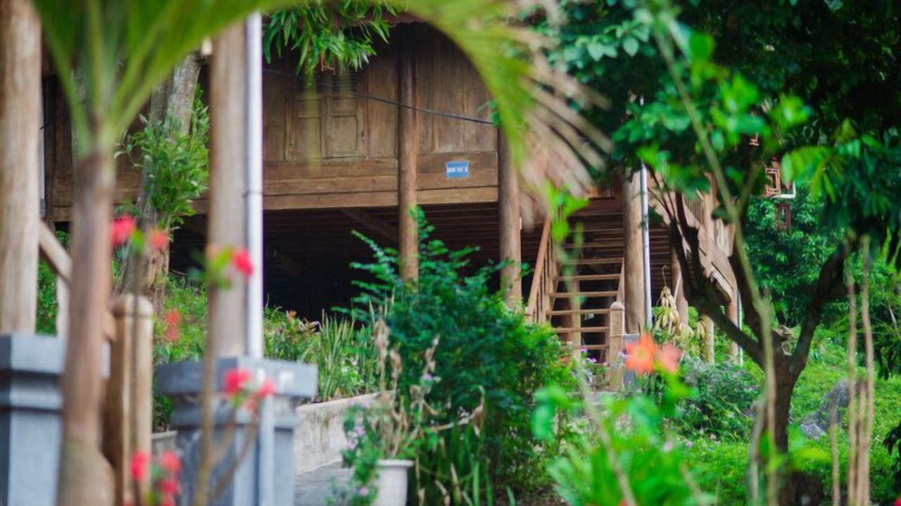 Photo of Outdoor in Cat Hai
