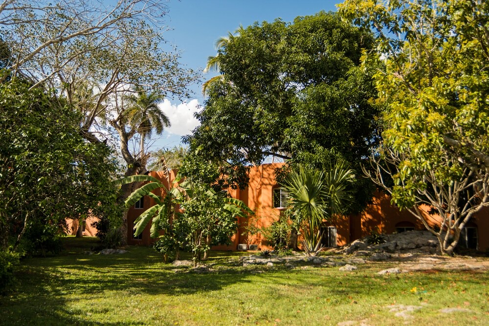 Photo of Outdoor in Chichen Itza