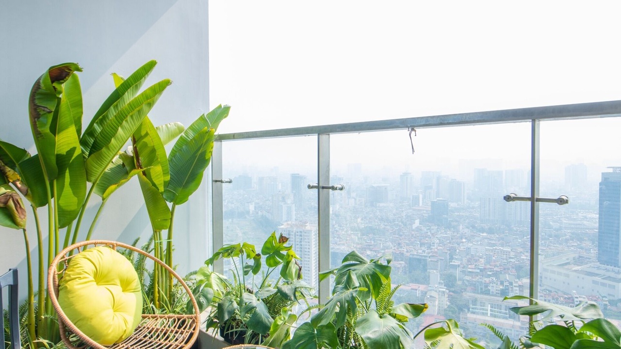 Photo of Patio Balcony in Ngoc Khanh