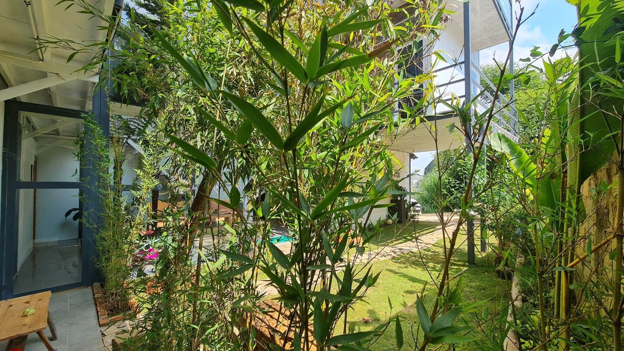 Photo of Outdoor in Phuong