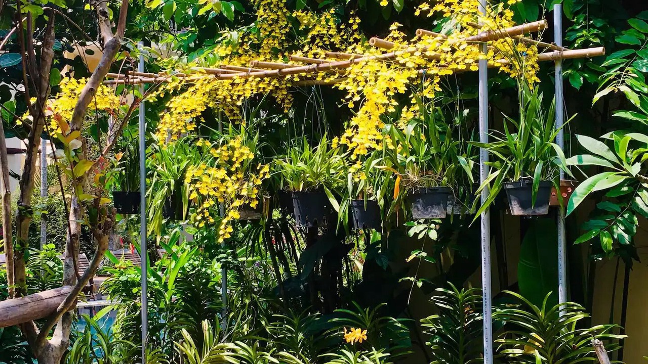 Photo of Outdoor in Hoi An