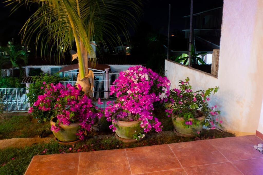 Photo of Outdoor in Ixtapa