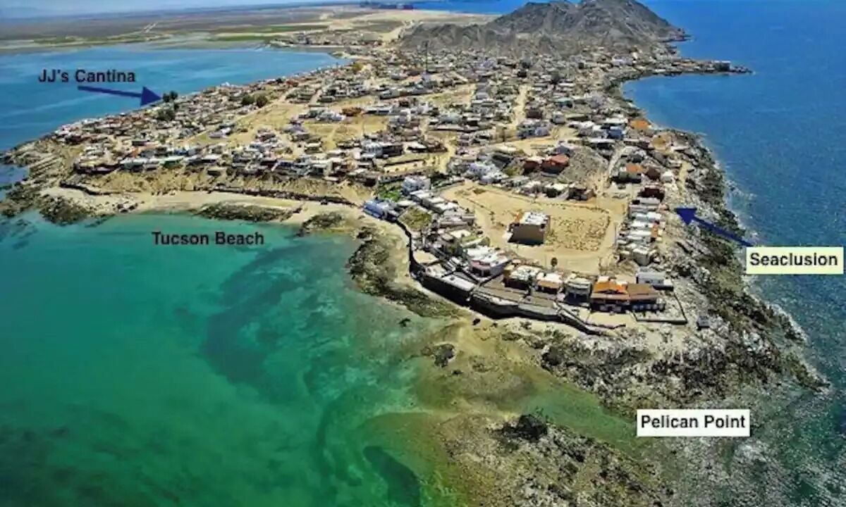 Photo of Others in Cholla Bay