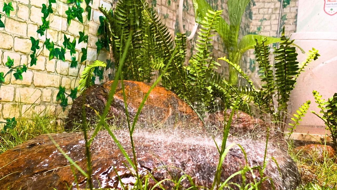 Photo of Outdoor in Buon Ma Thuot