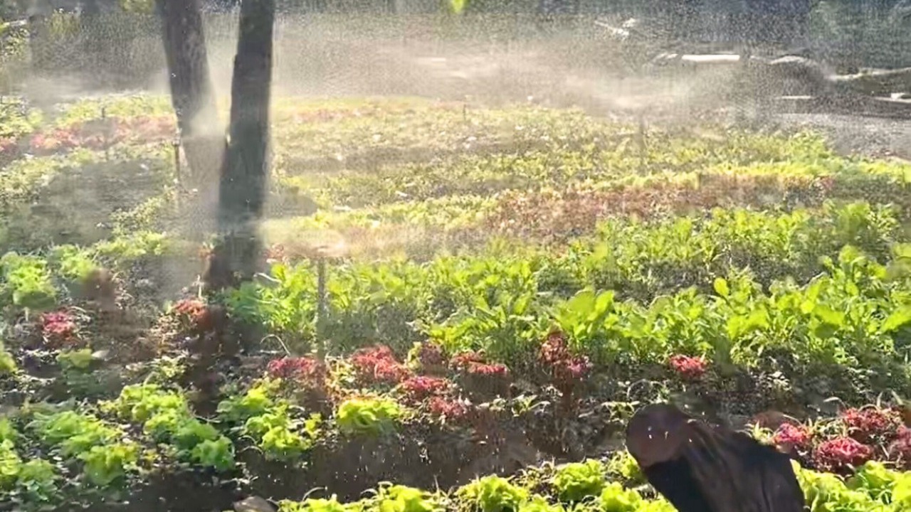 Photo of Outdoor in Buon Ma Thuot