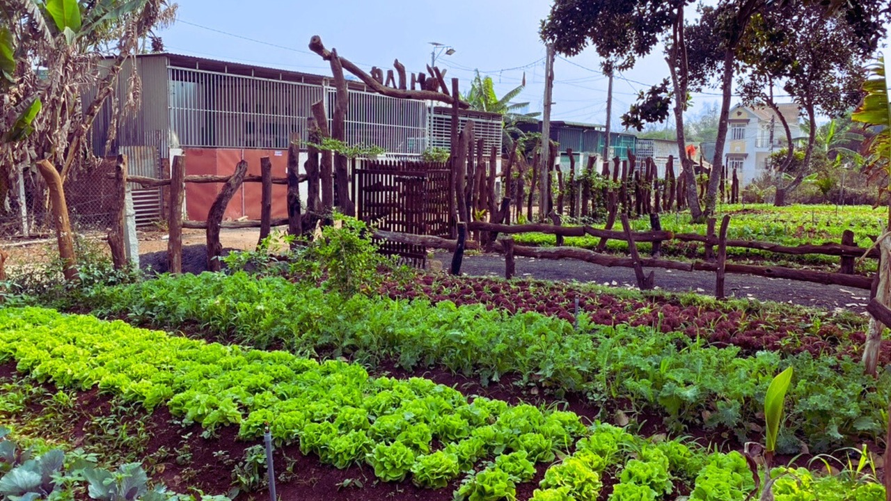 Photo of Outdoor in Buon Ma Thuot