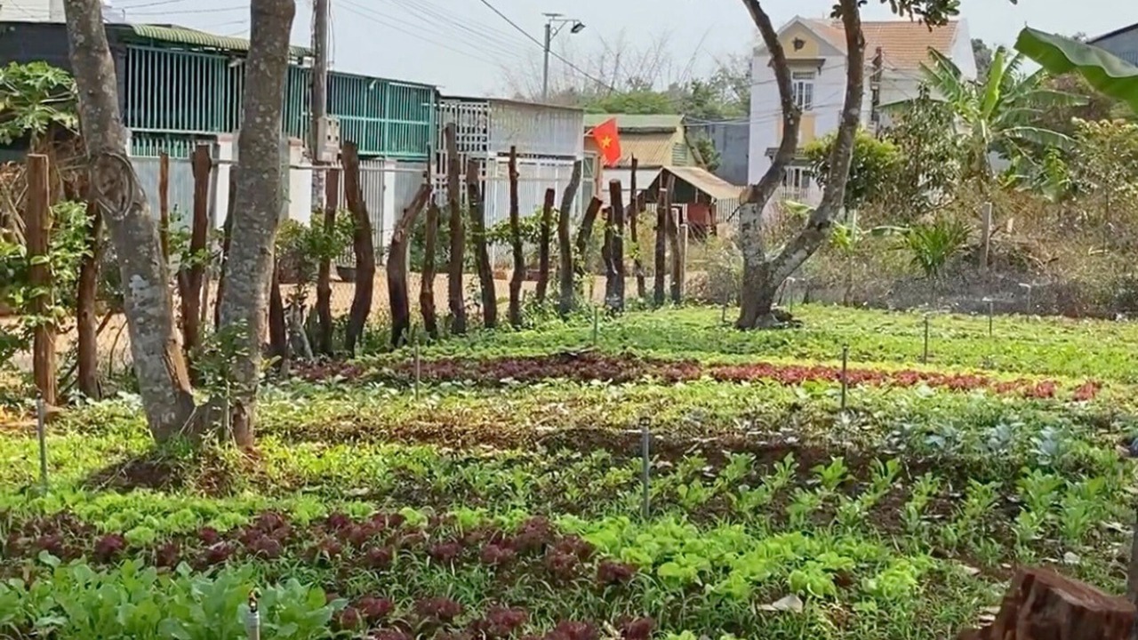 Photo of Outdoor in Buon Ma Thuot