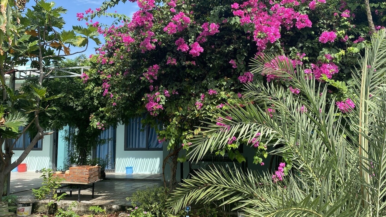 Photo of Patio Balcony in Phan Rang - Thap Cham