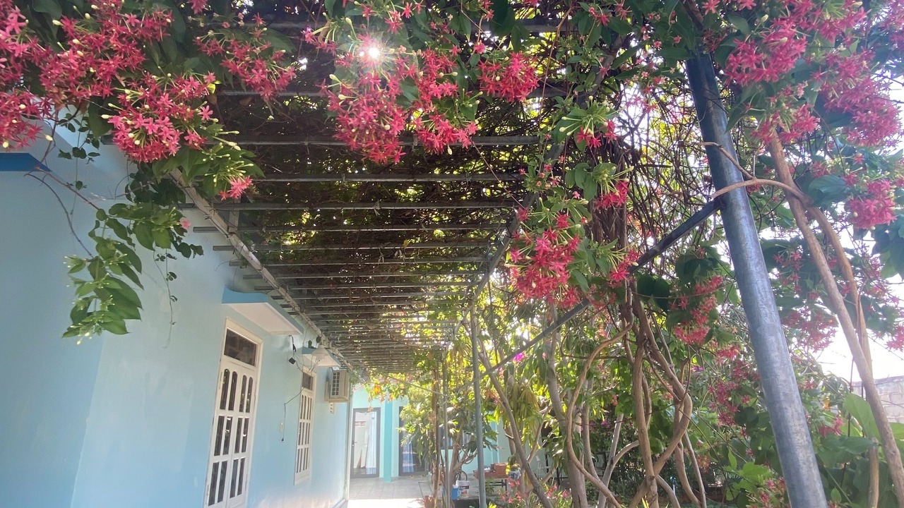 Photo of Outdoor in Phan Rang - Thap Cham