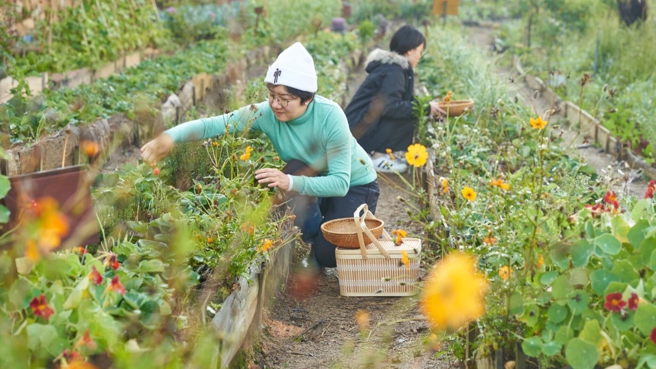 Photo of Outdoor in Da Lat