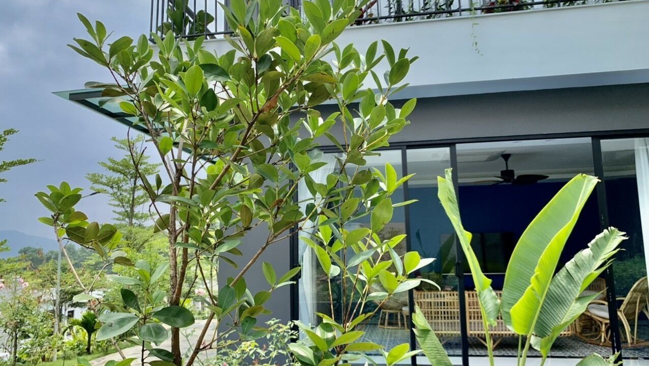 Photo of Outdoor in Ngoc Thanh