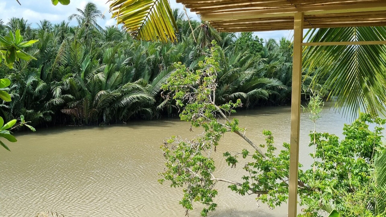 Photo of Outdoor in Ben Tre