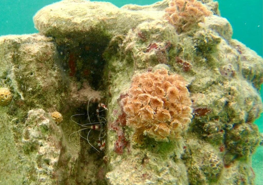 Photo of Outdoor in El Placer
