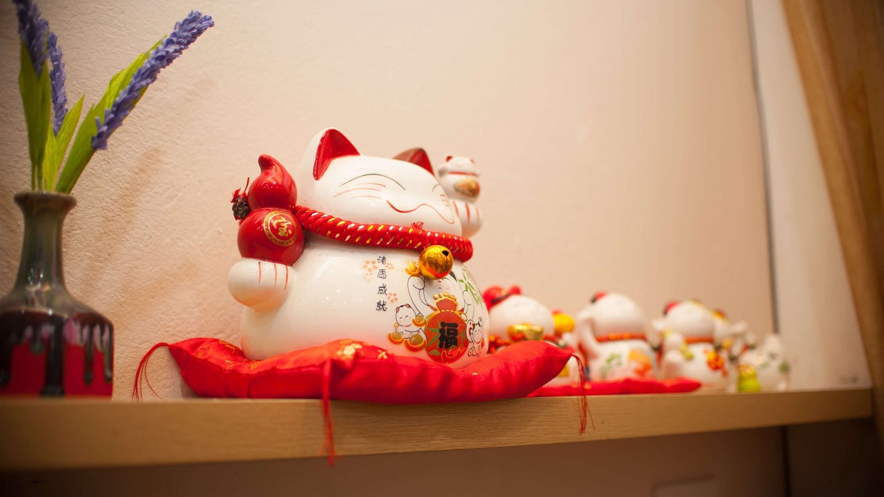 Photo of Others in Thuy Xuan