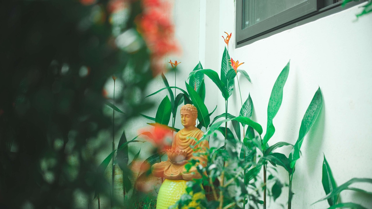 Photo of Outdoor in Thuy Xuan