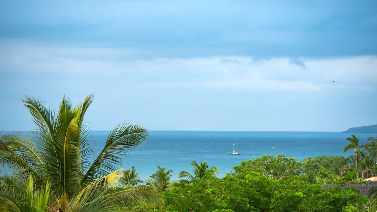 Photo of Others in Punta de Mita