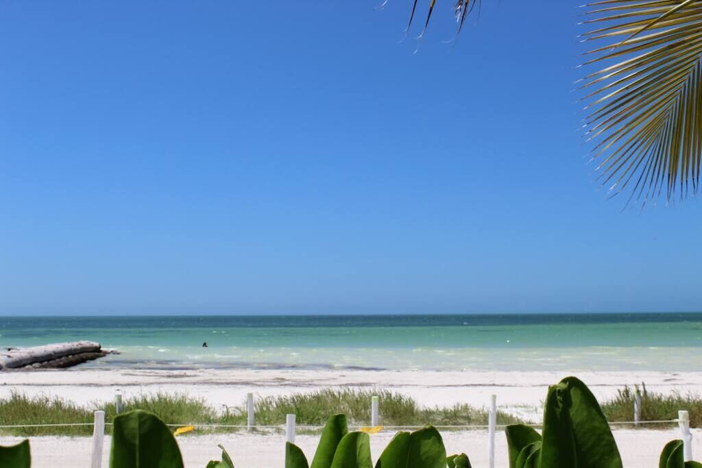Photo of Others in Isla Holbox