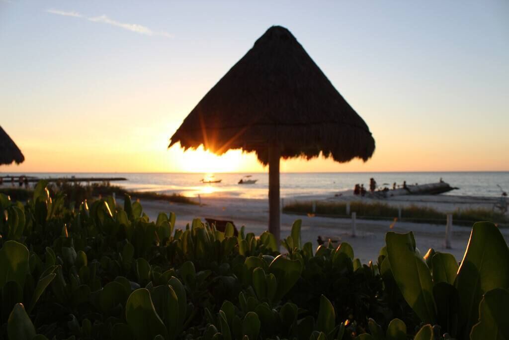 Photo of Others in Isla Holbox
