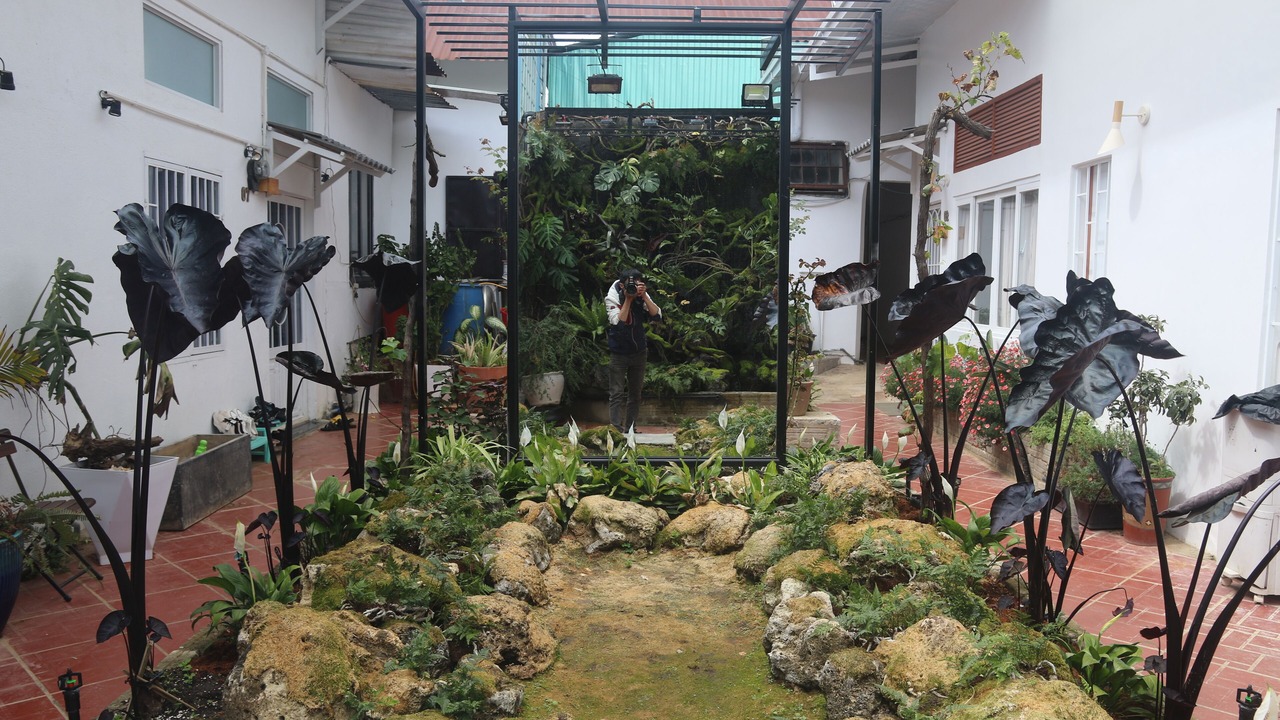 Photo of Outdoor in Da Lat