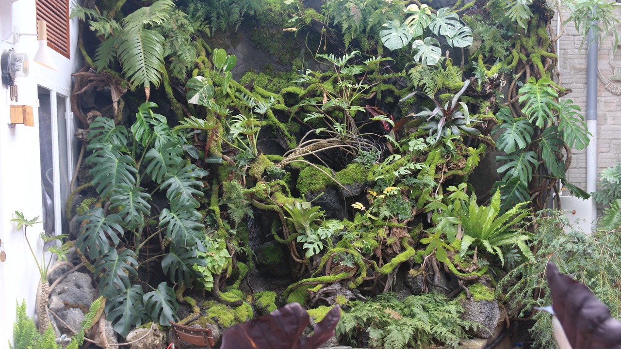 Photo of Outdoor in Da Lat