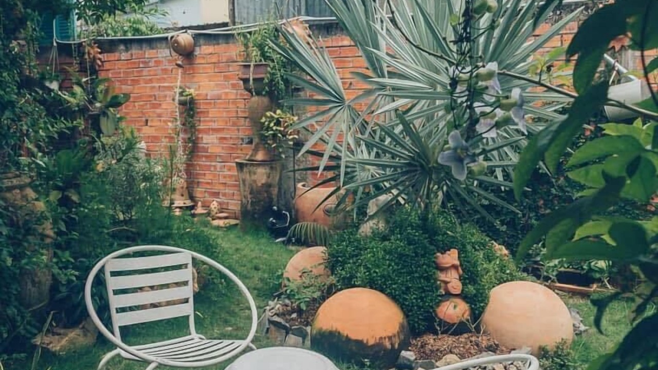 Photo of Outdoor in Long Ho