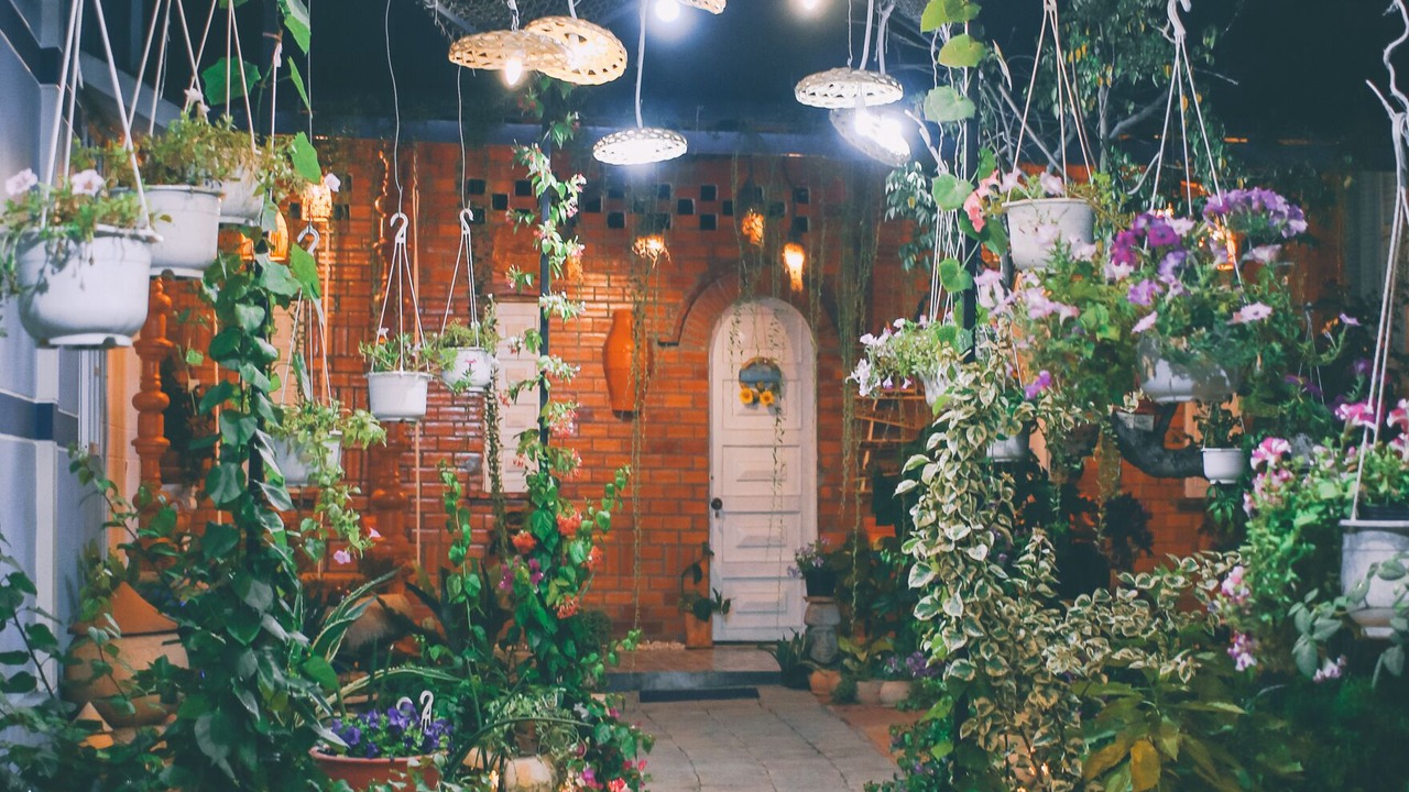 Photo of Outdoor in Long Ho