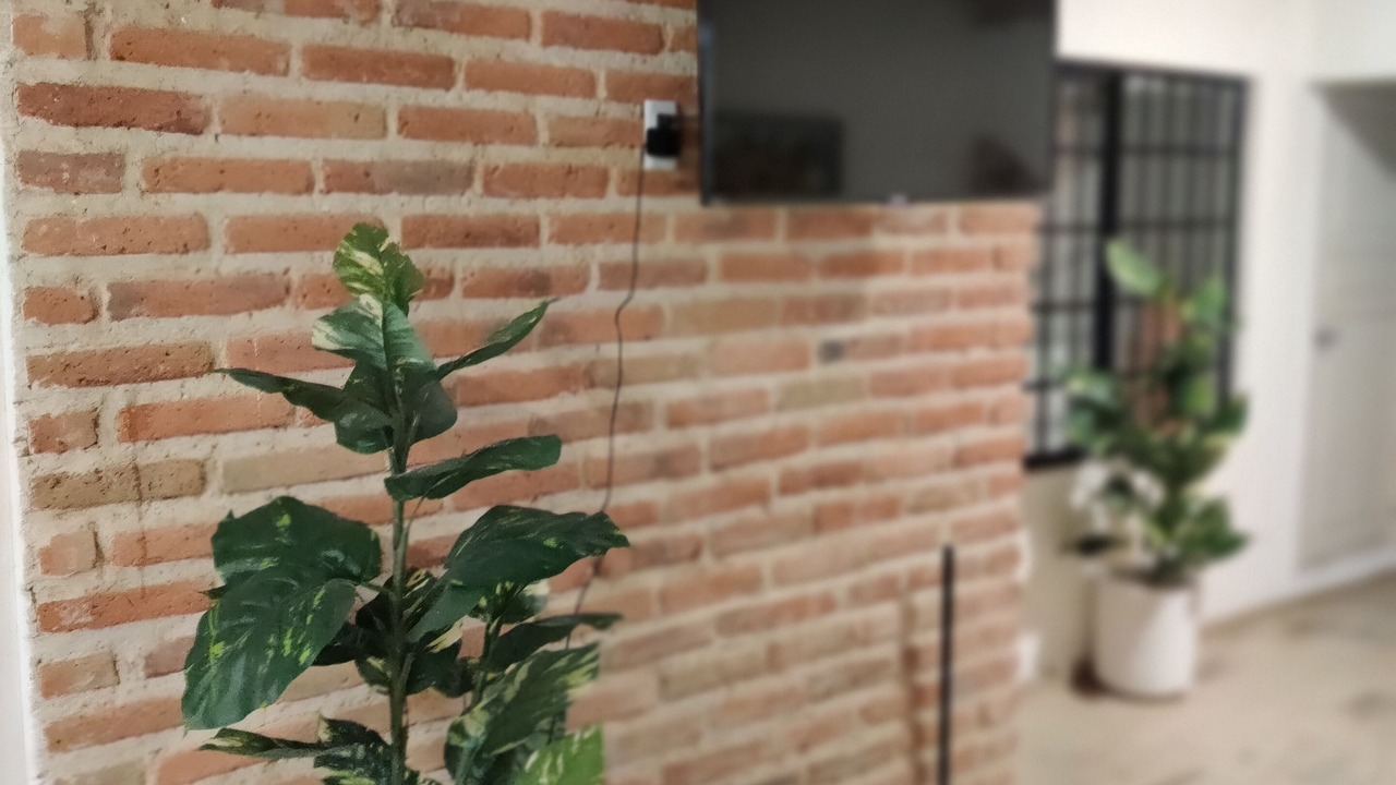 Photo of Others in Guadalajara