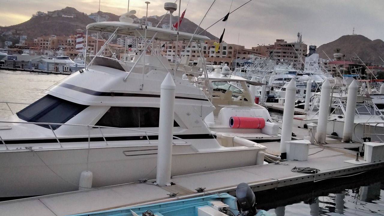 Photo of Others in Marina