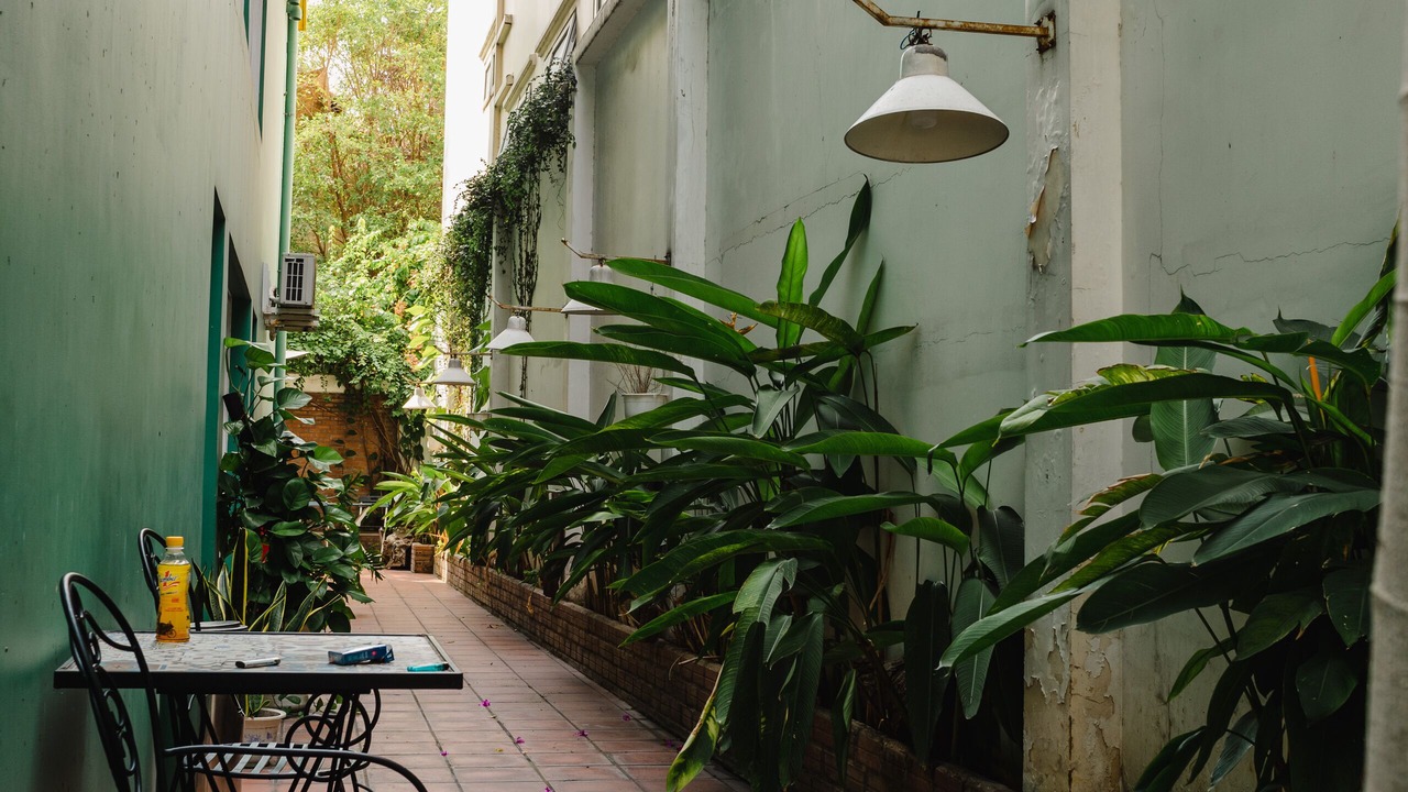Photo of Outdoor in Phuong 6