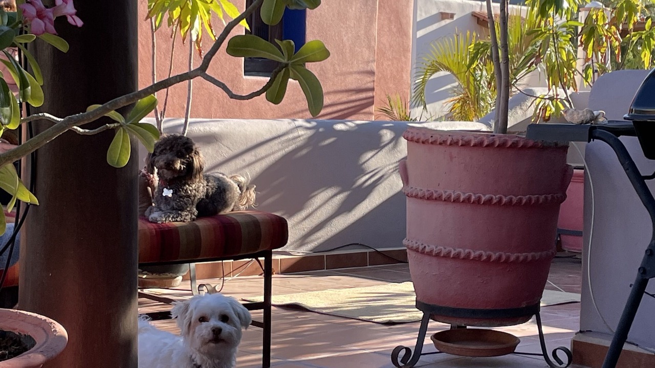 Photo of Patio Balcony in Nopolo